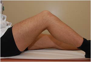 Anterior knee: Quadriceps tendon longitudinal