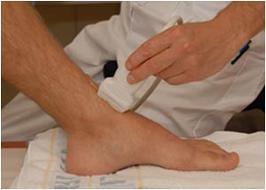 Anterior ankle: Anterior tibial tendon longitudinal